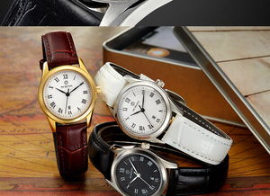 汤河店正品女表 时尚与品质的完美融合